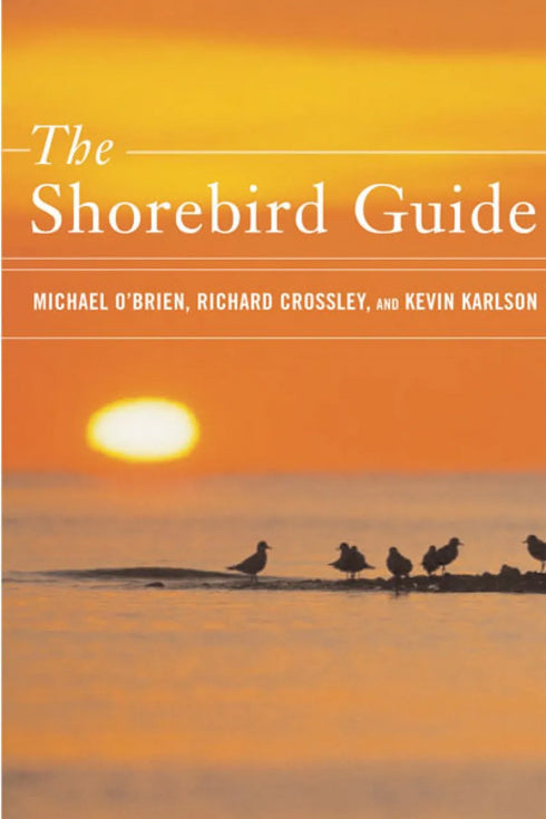 Shorebird Guide - O'Brien, M. ym. 2006